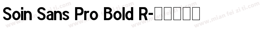 Soin Sans Pro Bold R字体转换